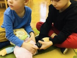 f_large_830e560a62ea62651c1a150105cdaaf119e143af8fc